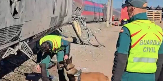 La Guardia Civil busca con un perro entre los restos del tren