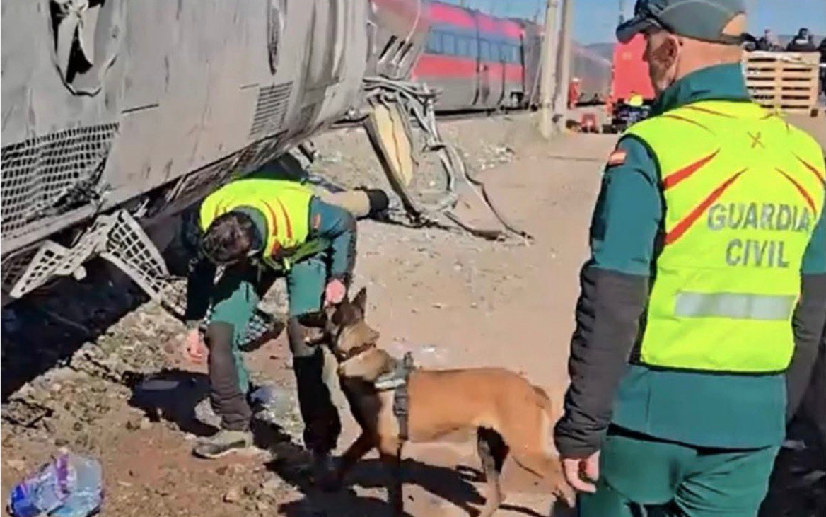 La Guardia Civil busca con un perro entre los restos del tren