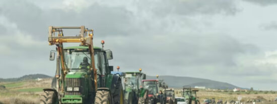 Razones por las que las salvaguardas de Mercosur no se implementar&aacute;n y por qu&eacute; esto es un alivio para el campo espa&ntilde;ol