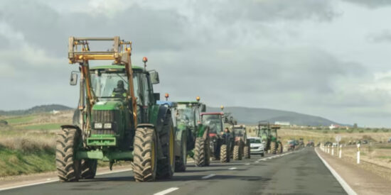 Razones por las que las salvaguardas de Mercosur no se implementar&aacute;n y por qu&eacute; esto es un alivio para el campo espa&ntilde;ol