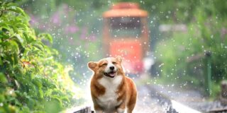 Pron&oacute;stico del Tiempo: Espa&ntilde;a bajo la influencia de borrascas atl&aacute;nticas este 31 de enero de 2026