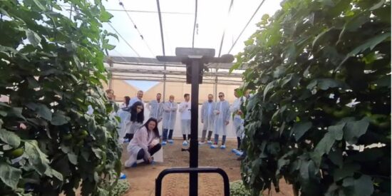 Cajamar Innova Agrotech lanza tres nuevos Retos Tecnol&oacute;gicos para impulsar la innovaci&oacute;n en el sector agroalimentario