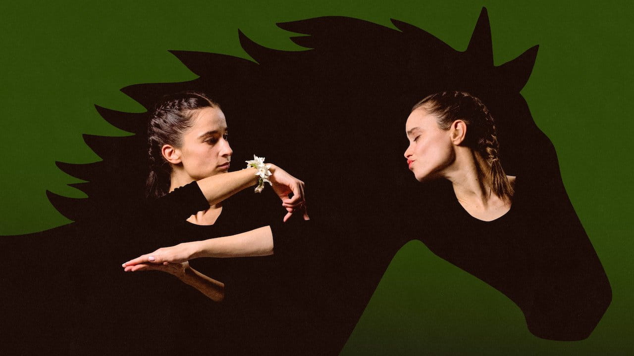 Grito, boda y sangre