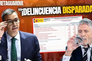 &iexcl;Pillan a Marlaska ocultando deliberadamente datos de delitos!