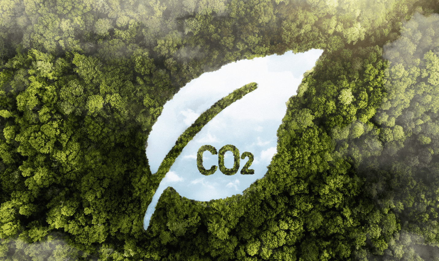 Nueva obligaci&oacute;n para grandes empresas: el c&aacute;lculo de la huella de carbono