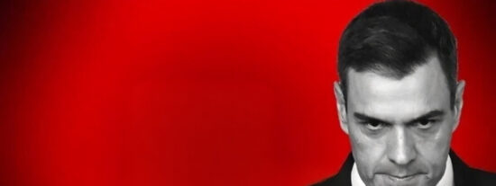 Pedro S&aacute;nchez (PSOE)