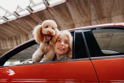 Mapfre lanza ReDrive, un nuevo servicio para operaciones de compraventa de veh&iacute;culos entre particulares