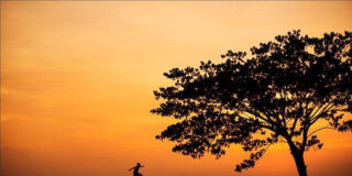 Salto, Clima, Naturaleza, Fe