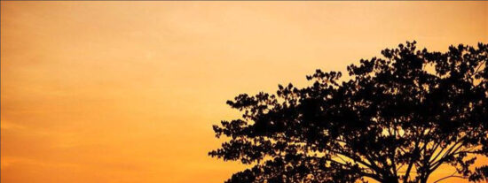 Salto, Clima, Naturaleza, Fe