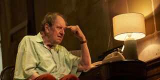 Un gigante caricaturizado, un debate tergiversado