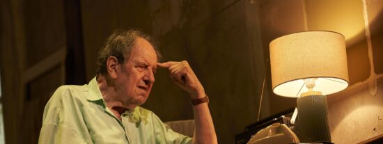 Un gigante caricaturizado, un debate tergiversado