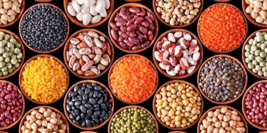 Valladolid acoge el D&iacute;a Mundial de las Legumbres 2026 organizado por la FAO