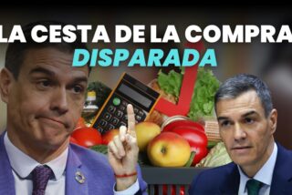 La cesta de la compra por las nubes