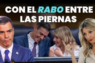 Con el rabo entre las piernas