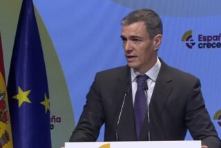 Pedro S&aacute;nchez.