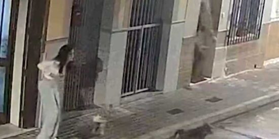 Un perro frustra un intento de secuestro en Poliny&agrave; del X&uacute;quer y revela una banda criminal