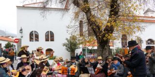 Tejeda celebra la 53&ordf; edici&oacute;n de las Fiestas del Almendro en Flor, con un homenaje a la tradici&oacute;n y la naturaleza