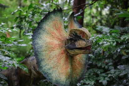 Los dinosaurios cobran vida en San Mart&iacute;n de Valdeiglesias (Madrid): Dinolandia abrir&aacute; el 2 de abril