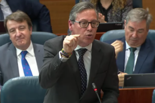 Alfonso Serrano humilla a la izquierda por su acoso a la diputada popular Ana Mill&aacute;n: &ldquo;Son ustedes un meme&rdquo;