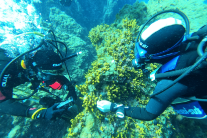 Underwater Gardens International impulsa en Tenerife un piloto de regeneraci&oacute;n marina