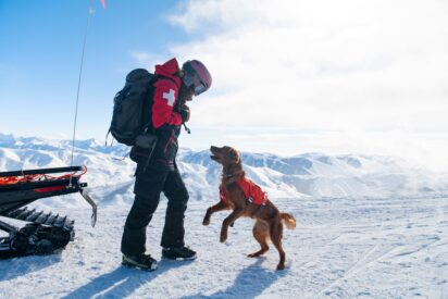 Nulo aterriza en Espa&ntilde;a junto a IskayPet para revolucionar la nutrici&oacute;n premium para mascotas