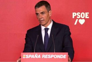 Pedro S&aacute;nchez.