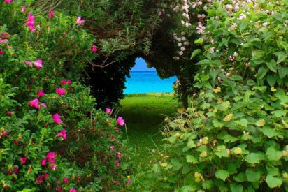 Refugio, Vegetaci&oacute;n, Para&iacute;so.