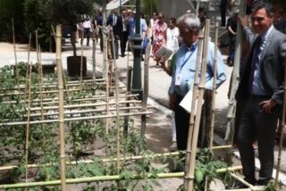 Pedro Sánchez presumiendo de 'huerto'