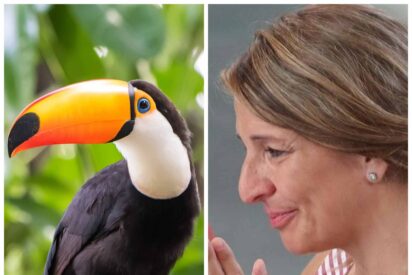 La &uacute;ltima animalada de Yolanda D&iacute;az no tiene precio: La de Sumar propone incluir mascotas en las listas de v&iacute;ctimas de la DANA