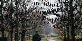 Correlatos de un reportero: bajo la mirada acechante de cientos de cuervos