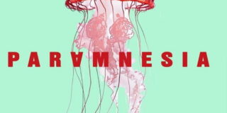 &iquest;Est&aacute;s segura de lo que recuerdas?: &ldquo;Paramnesia&rdquo;