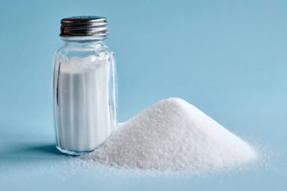 Un libro pol&eacute;mico aconseja consumir m&aacute;s sal