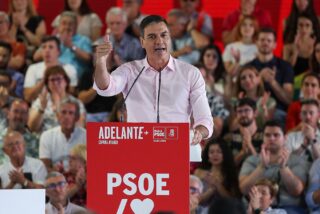 Pedro S&aacute;nchez.