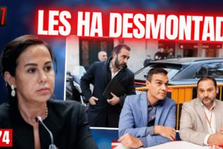 Pardo de Vera &lsquo;canta&rsquo; y desmonta a &Aacute;balos y a S&aacute;nchez: Aldama se paseaba como Pedro por su casa