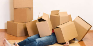 Errores en la mudanza (1)