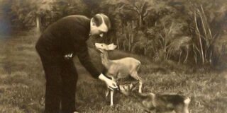  Hitler y sus venados