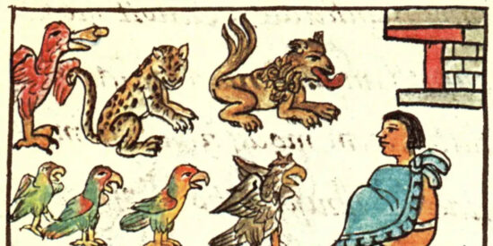 Los aztecas y los animales