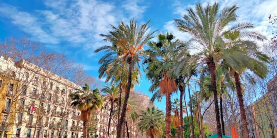 Estos son algunos de los barrios m&aacute;s conflictivos de Espa&ntilde;a