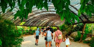 Puy du Fou Espa&ntilde;a: cinco a&ntilde;os encendiendo la historia, la emoci&oacute;n y el orgullo nacional