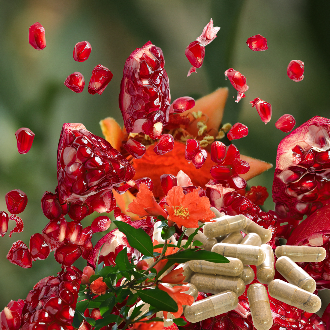 Sugieren que extracto de granada y probi&oacute;ticos alivian Intestino Irritable seg&uacute;n Univ. de Extremadura y SES