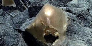 El "huevo de oro" del fondo marino: tres a&ntilde;os de investigaci&oacute;n para resolver un enigma de aguas profundas