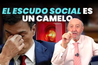 El Escudo Social es un camelo