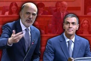 Alberto Catal&aacute;n, Pedro S&aacute;nchez