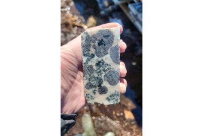 El descubrimiento de minerales de Juno se ampl&iacute;a para incluir metales magn&eacute;ticos de tierras raras pesadas