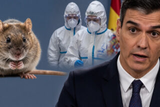 Los roedores, S&aacute;nchez y el hantavirus.