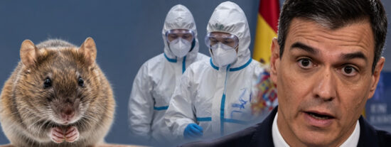 Los roedores, S&aacute;nchez y el hantavirus.