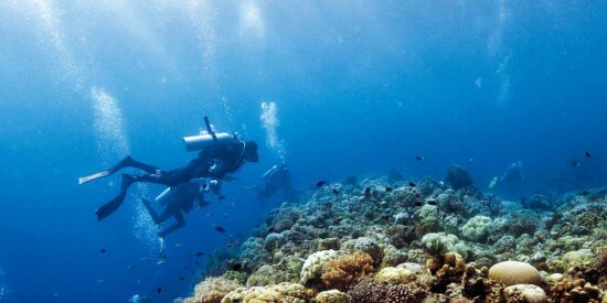 Cinco para&iacute;sos del buceo en Filipinas que no te puedes perder este verano