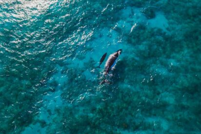 Puerto Rico reporta un crecimiento significativo en el turismo de Latam e internacional