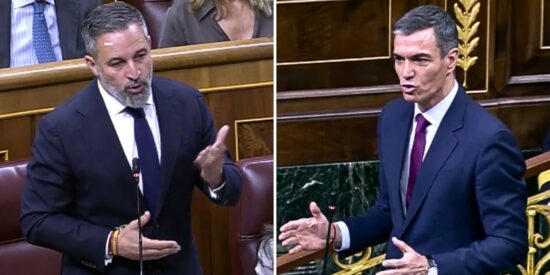Santiago Abascal, Pedro S&aacute;nchez