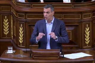 Pedro S&aacute;nchez.